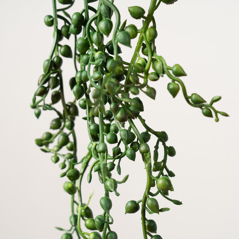 Artificial Trailing String Of Pearls